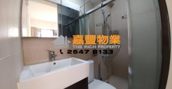 高樂花園 著名屋苑 時尚裝修