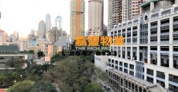高雅阁 罕有园景放盘