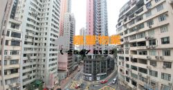 Golden Phoenix Court – Extremely high rental returns in HK Island