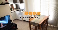 恒升大楼 – 2房品味靓装 上车盘精选