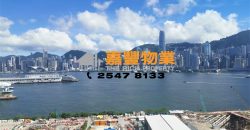 Harbourside – Brilliant harbour in your eyes