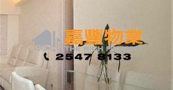 樂新大廈 – 同區超罕3房+套廁高層放盤