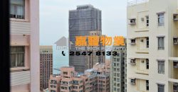 Po Lam Court – Modern Renovated with decent size