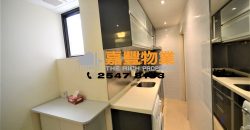 Po Lam Court – Modern Renovated with decent size