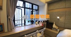 Tsui King Court – Designer remodel w/ 2 decent bedrooms