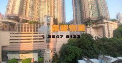 益丰花园 – 超值3房 近地铁 厅大房大
