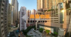 益丰花园 – 超值3房 近地铁 厅大房大
