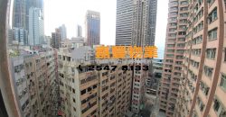 创业中心 – 时尚豪装 著名屋苑 高层