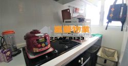 创业中心 – 时尚豪装 著名屋苑 高层