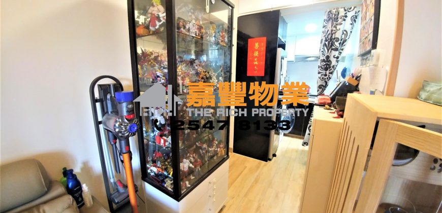 创业中心 – 时尚豪装 著名屋苑 高层
