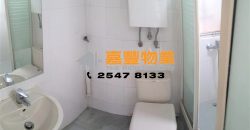 順泰大廈 – 超荀兩房 特色單位連天台
