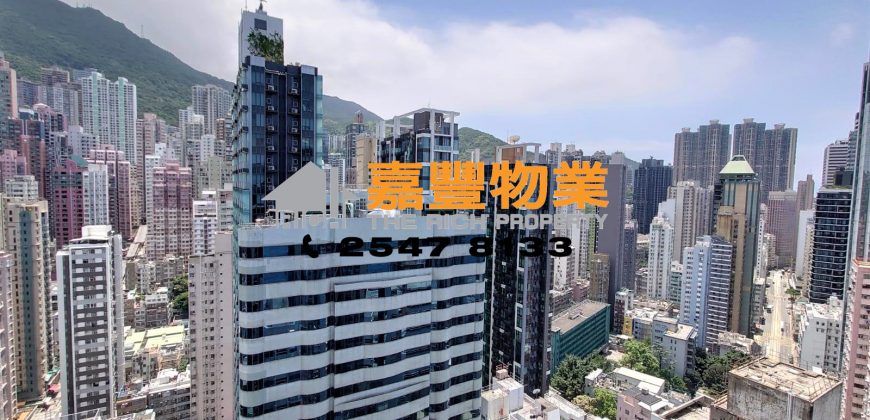 高乐花园 – 高远向南 市区开扬山景！给力