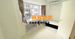 裕新大厦 – 靓装市区 回报什高