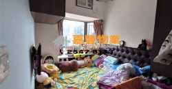 高乐花园 – 高远向南 市区开扬山景！给力
