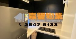 裕新大厦 – 靓装市区 回报什高