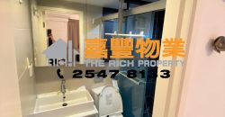 裕新大厦 – 靓装市区 回报什高