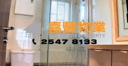 博仕臺- 高层2房 品味靓装 名校网 3分钟到地铁站