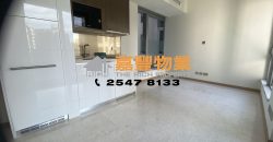 薄扶林道63号 – 高质素新楼 名校网 有心放卖