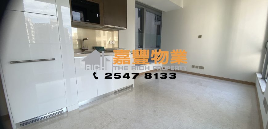 薄扶林道63号 – 高质素新楼 名校网 有心放卖