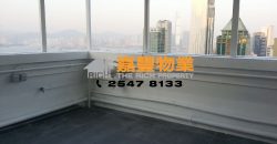 Wah Ming Centre – Special terrace unit