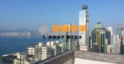 Wah Ming Centre – Special terrace unit
