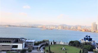 Wilmer Building – Stunning open view