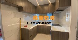Tin Hing Mansion – Newly renovated