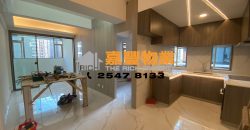 Tin Hing Mansion – Newly renovated