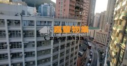 薄扶林道63号 – 1房 会所靓盘 情侣精选