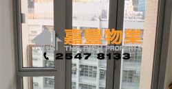 薄扶林道63号 – 1房 会所靓盘 情侣精选