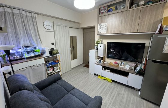 華明中心 – 齊傢電靚裝單位，合小家庭