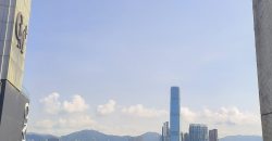 康威花園 – 高層海景罕見筍盤，裝修簡潔舒適